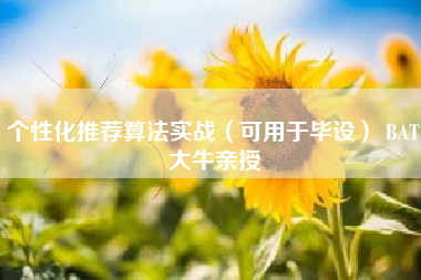 个性化推荐算法实战（可用于毕设） BAT大牛亲授