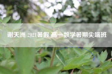 谢天洲 2021暑假 高一数学暑期尖端班