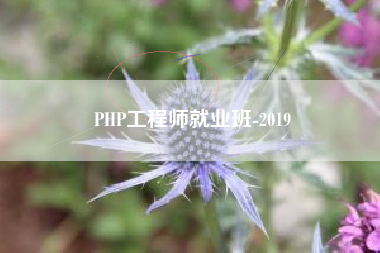 PHP工程师就业班-2019