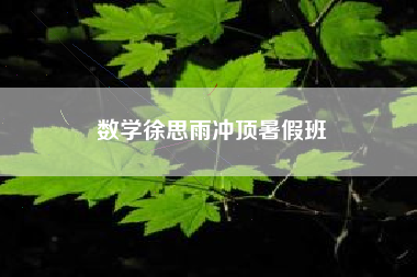 数学徐思雨冲顶暑假班