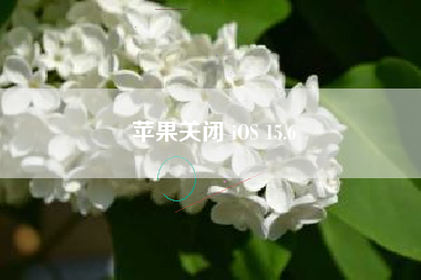 苹果关闭 iOS 15.6