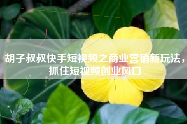 胡子叔叔快手短视频之商业营销新玩法，抓住短视频创业风口