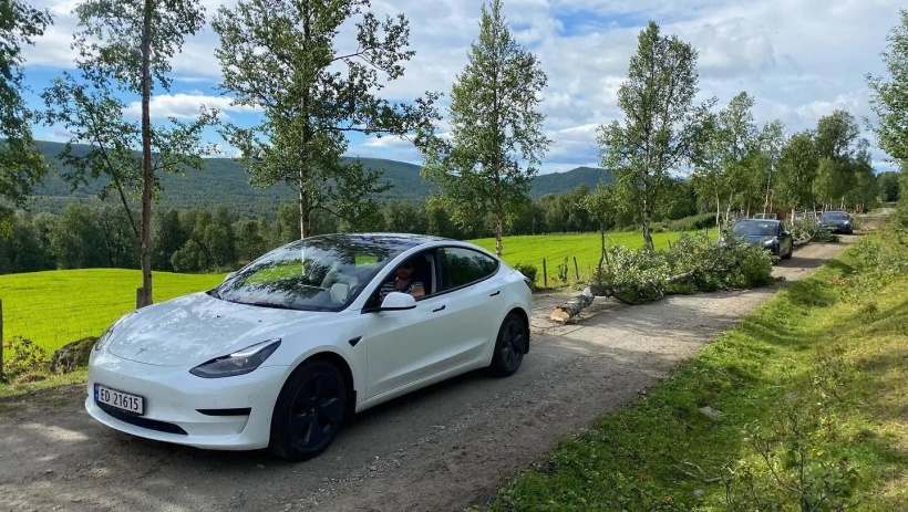挪威伐木工用 Model 3 运树,渴望特斯拉电动皮卡 Cy