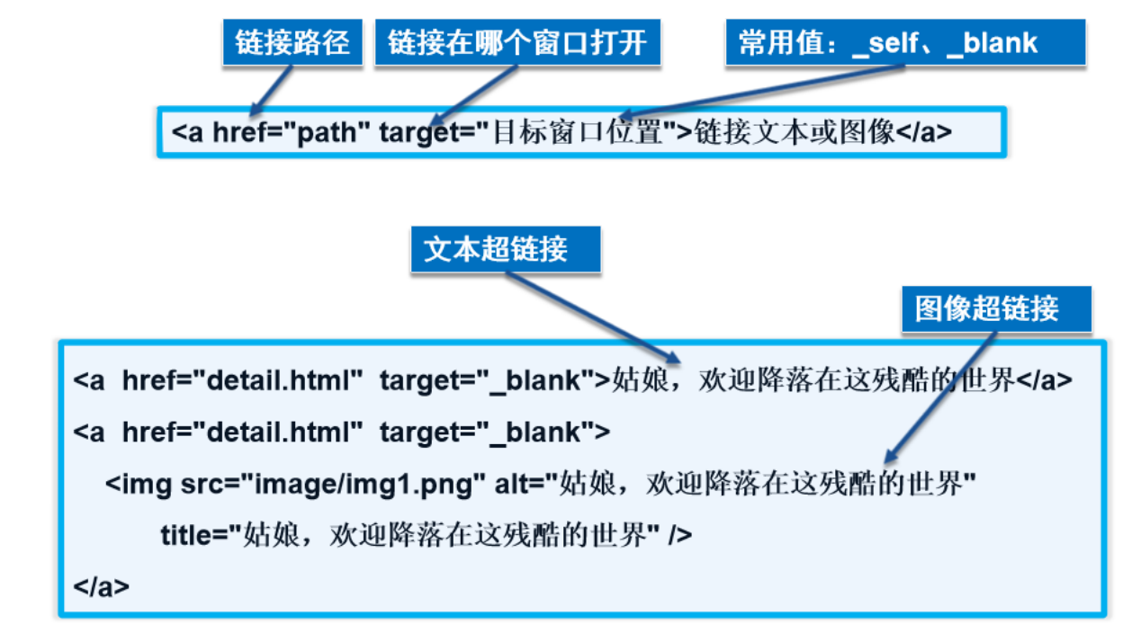 HTML基本结构与标签