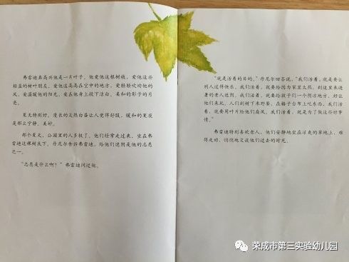 生命教育绘本故事一片叶子落下来