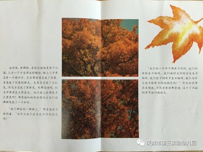 生命教育绘本故事一片叶子落下来