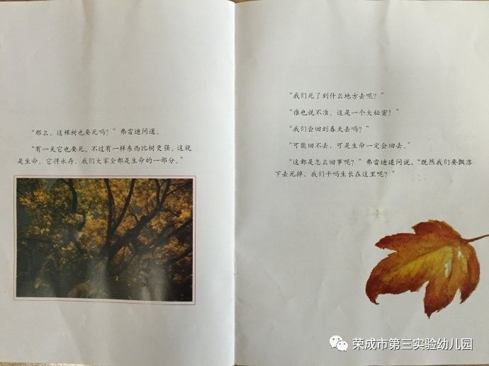生命教育绘本故事一片叶子落下来