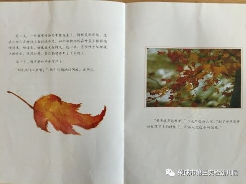 生命教育绘本故事一片叶子落下来