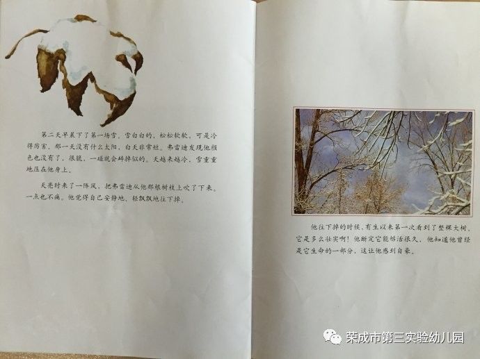 生命教育绘本故事一片叶子落下来