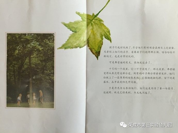 生命教育绘本故事一片叶子落下来
