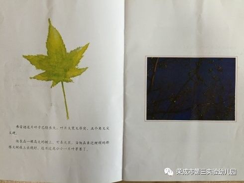 生命教育绘本故事一片叶子落下来