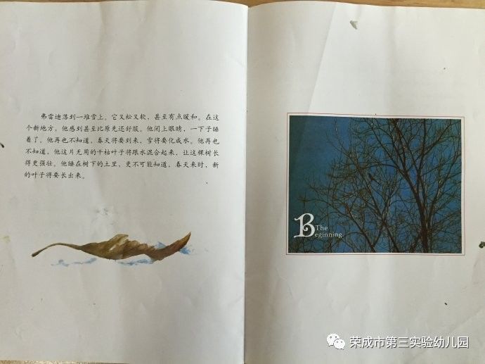 生命教育绘本故事一片叶子落下来