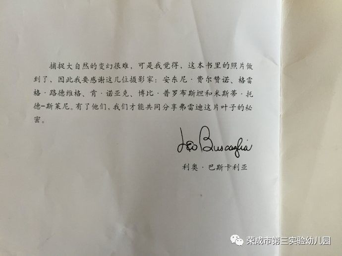 生命教育绘本故事一片叶子落下来