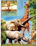 动物王国大探秘(套装4册)适合[3~6岁]宝宝