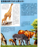 动物王国大探秘(套装4册)适合[3~6岁]宝宝
