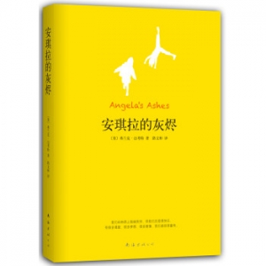 励志好书推荐《安琪拉的灰烬》