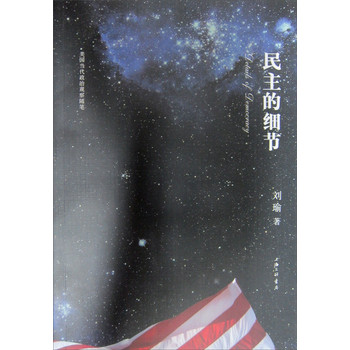 推荐平民化的政治读物:《民主的细节》