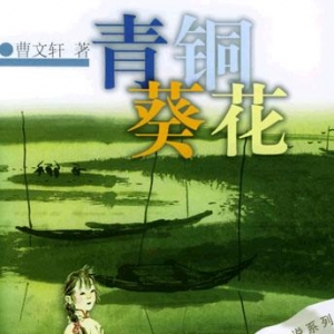 推荐让孩子知道苦难的小说:《青铜葵花》