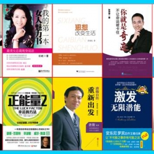 2013年十大成功励志图书推荐