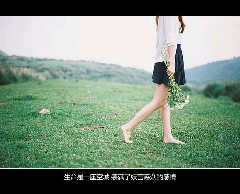 推荐文艺小清新的书籍推荐