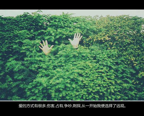 推荐文艺小清新的书籍推荐