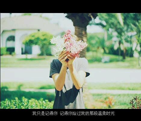 推荐文艺小清新的书籍推荐
