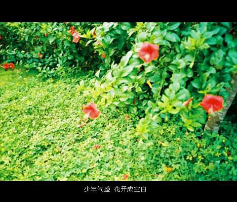 推荐文艺小清新的书籍推荐