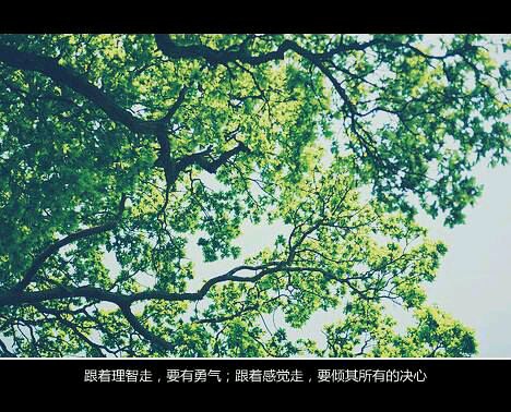 推荐文艺小清新的书籍推荐
