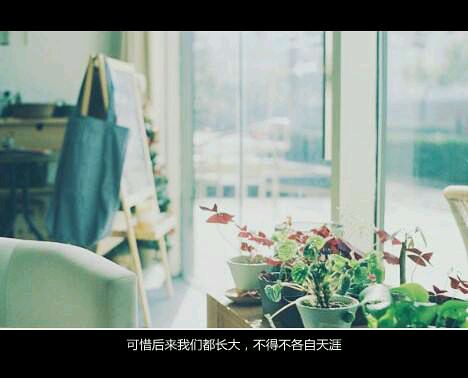 推荐文艺小清新的书籍推荐(二)