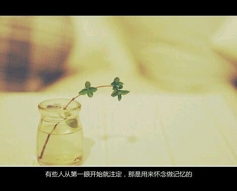推荐文艺小清新的书籍推荐(二)