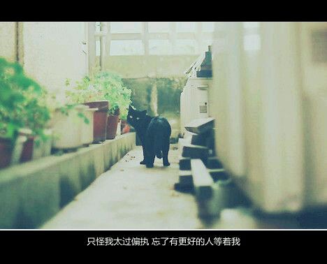 推荐文艺小清新的书籍推荐(二)