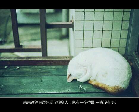 推荐文艺小清新的书籍推荐(二)