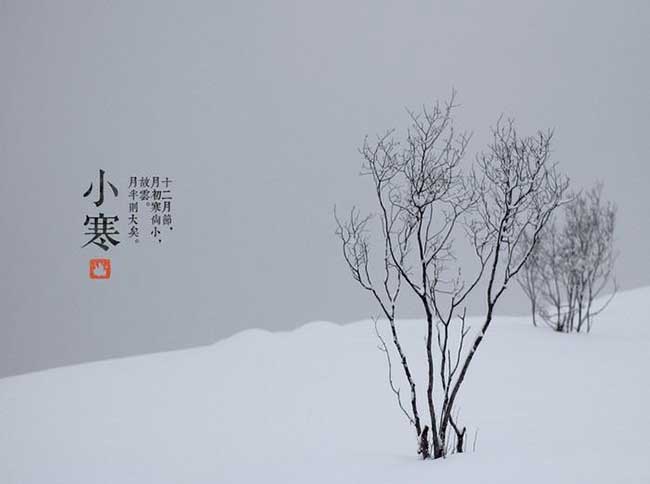 关于节气的书籍有哪些?推荐10本书带你领略二十四节气
