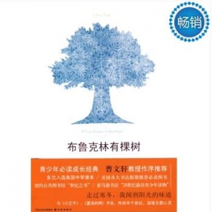 布鲁克林有棵树青少年成长必读经典书籍