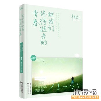 青春成长书籍:《致我们终将逝去的青春》