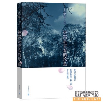 青春成长书籍:《被窝是青春的坟墓》