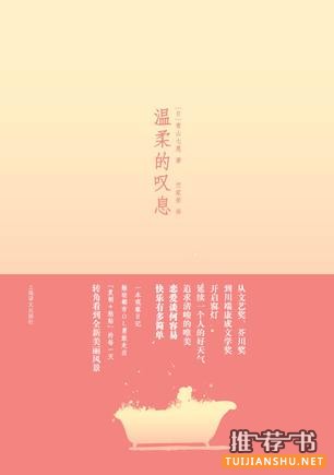 温柔的叹息,5本治愈心灵系小说推荐