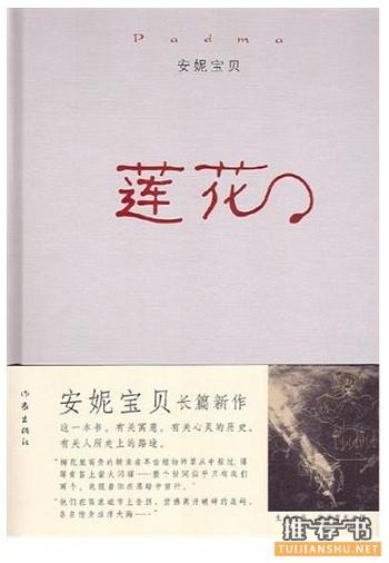 lianhua 安妮宝贝的好书籍有哪些