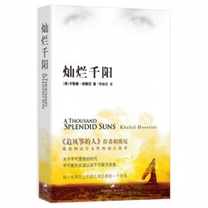 感动小说推荐:灿烂千阳不可能的友谊和不可毁灭的爱