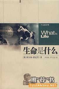 INFJ的读书经验和规划