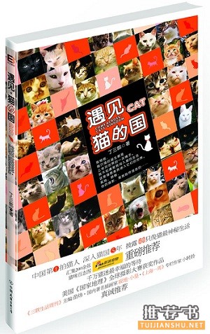 关于猫的书有哪些?喵星人的世界你不懂
