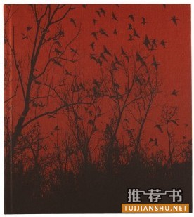 好的摄影类书有哪些?美国《时代》周刊2013年度推荐的26本