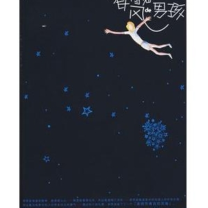 畅销小说推荐:《看得见风的男孩》外国文学作品