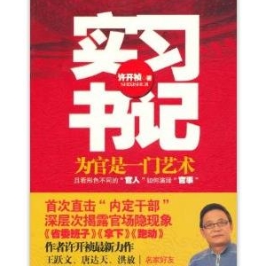 实习书记:为官是一门艺术