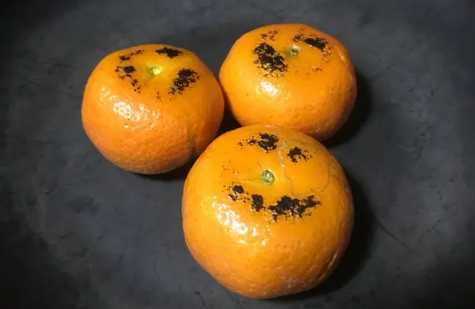 烤橘子趁热吃还是放凉吃