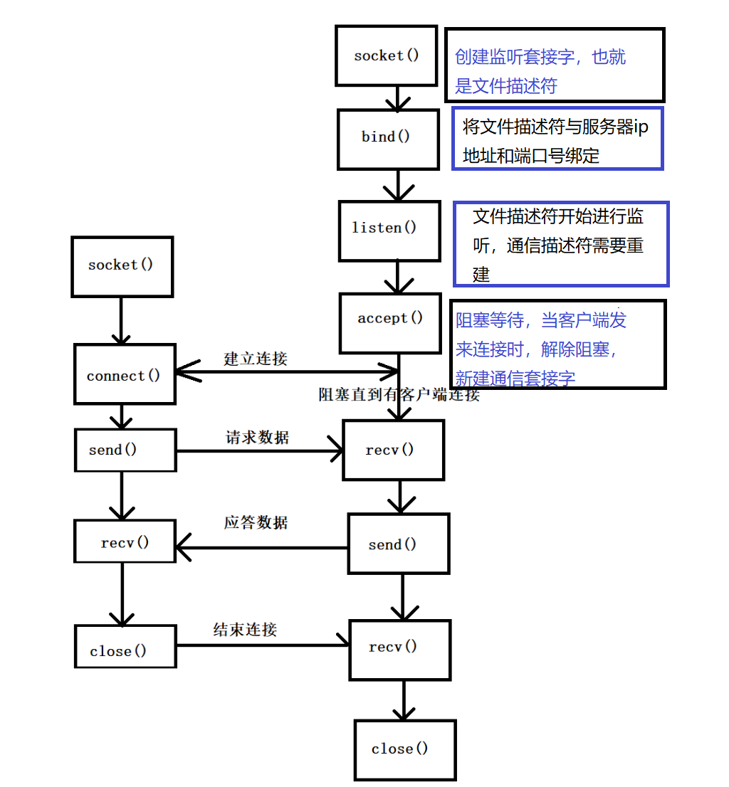 Linux网络通信(TCP套接字编写,多进程多线程版本)