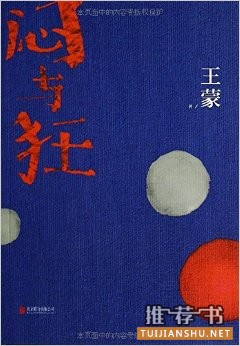小说推荐:闷与狂感觉的狂欢与小说的可能