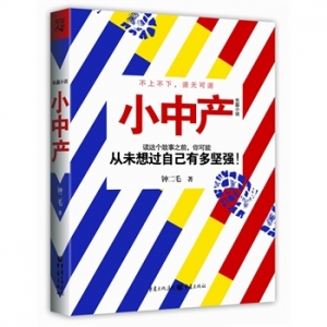 新书推荐：钟二毛最新力作《小中产》出版上市