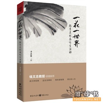 一花一世界
