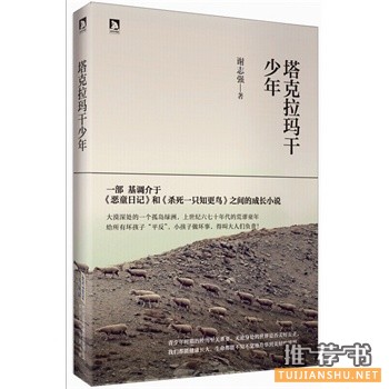 谢志强新书《塔克拉玛干少年》给所有坏小孩“平反”